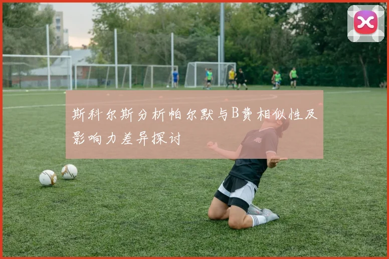 斯科尔斯分析帕尔默与B费相似性及影响力差异探讨